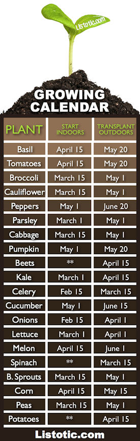 Growing and Planting Calendar